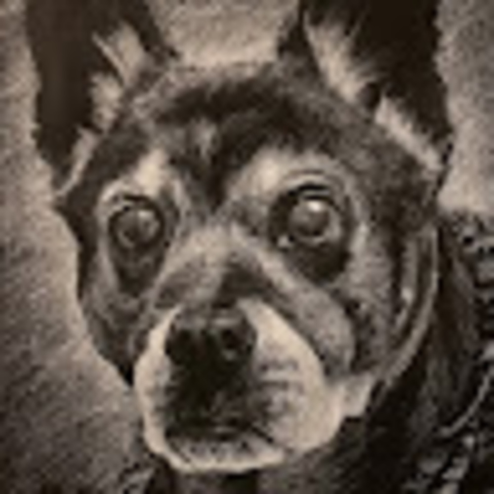 Meet your Posher, Endraven